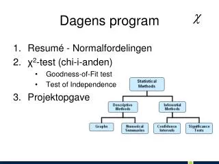 dagens program
