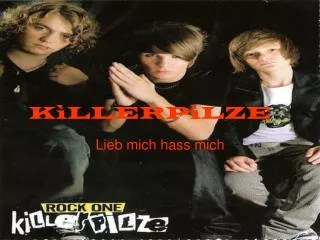 k llerp lze