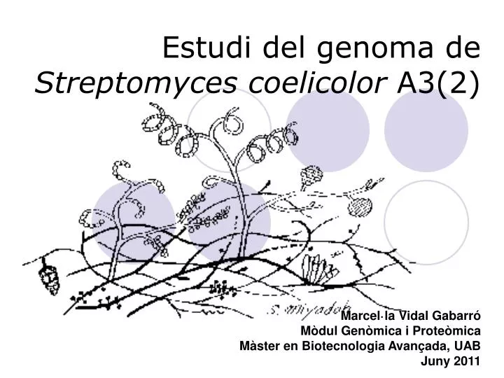 estudi del genoma de streptomyces coelicolor a3 2