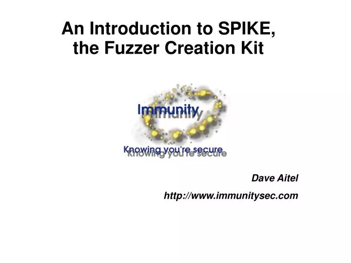 an introduction to spike the fuzzer creation kit
