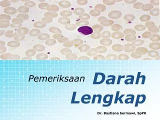 darah lengkap