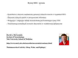 rytmy eeg pytania