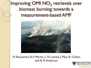 Improving OMI NO 2 retrievals over biomass burning: towards a measurement-based AMF