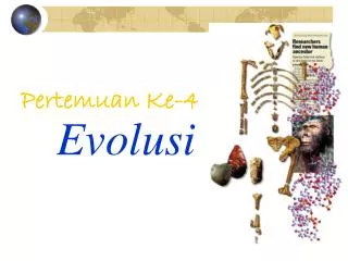 evolusi