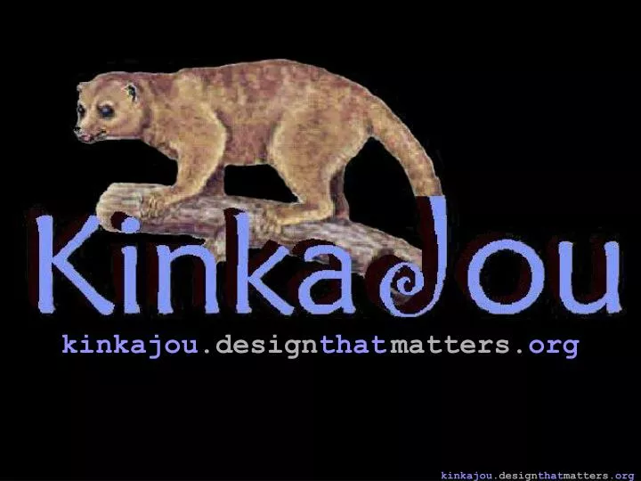 kinkajou design that matters org