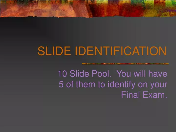 slide identification