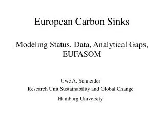 European Carbon Sinks Modeling Status, Data, Analytical Gaps, EUFASOM