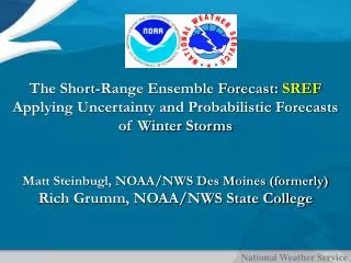 The Short-Range Ensemble Forecast: SREF