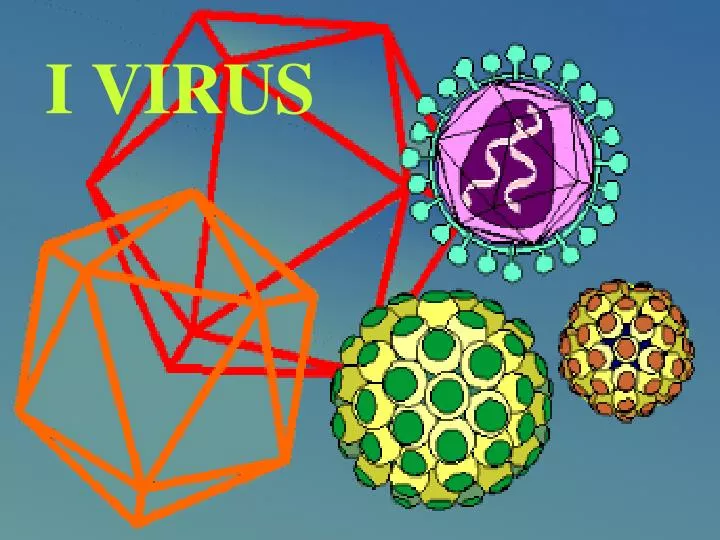 i virus