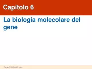 capitolo 6