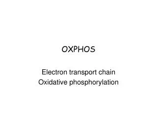 OXPHOS