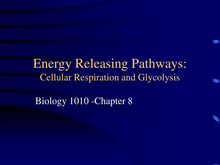 energy releasing pathways cellular respiration and glycolysis