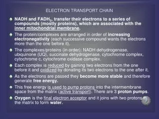 ELECTRON TRANSPORT CHAIN
