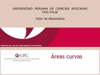 reas curvas