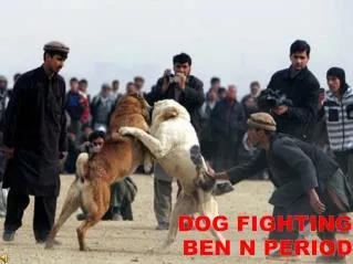 Dog Fighting Ben N period