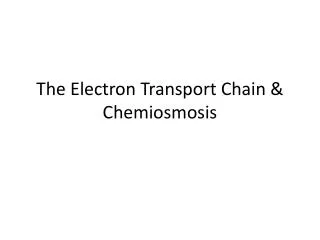 The Electron Transport Chain &amp; Chemiosmosis