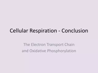 Cellular Respiration - Conclusion