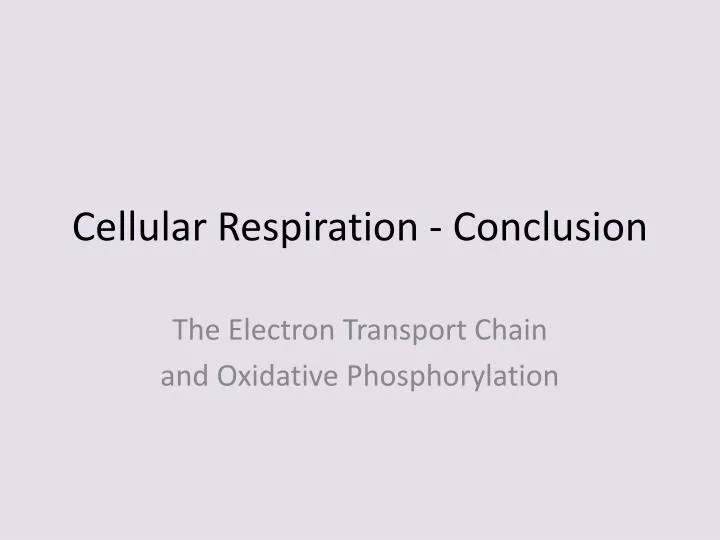 cellular respiration conclusion