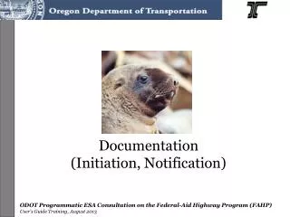 Documentation (Initiation, Notification)