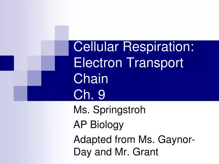 cellular respiration electron transport chain ch 9