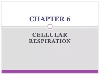 chapter 6