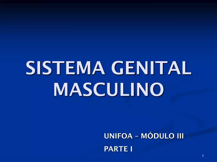 sistema genital masculino