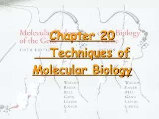 Chapter 20 Techniques of Molecular Biology