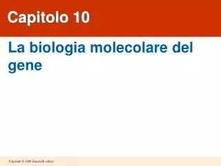 capitolo 10
