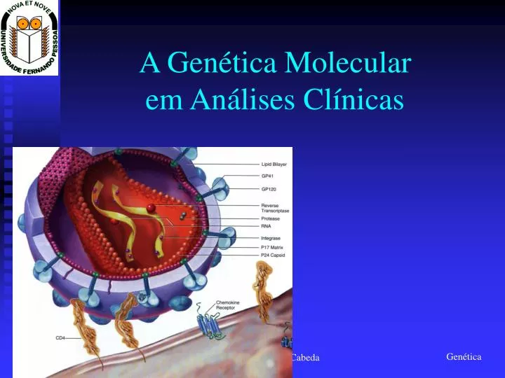 a gen tica molecular em an lises cl nicas