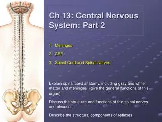 Ch 13: Central Nervous System: Part 2