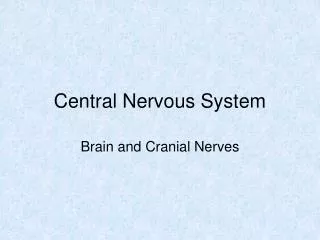 Central Nervous System