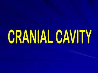 CRANIAL CAVITY