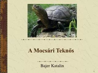 a mocs ri tekn s