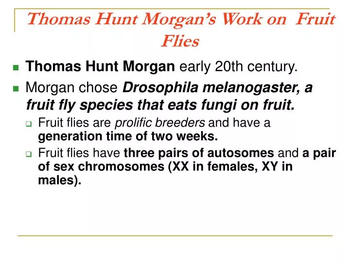 thomas hunt morgan s work on fruit flies