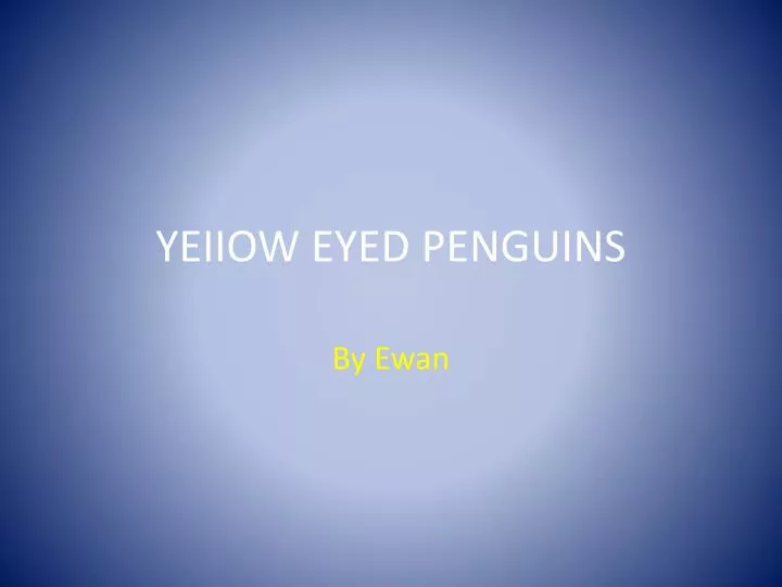 yeiiow eyed penguins