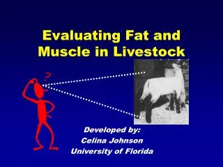 Evaluating Fat and Muscle in Livestock