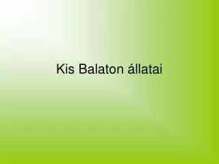 Kis Balaton állatai