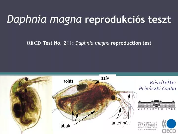 daphnia magna reprodukci s teszt oecd test no 211 daphnia magna reproduction test