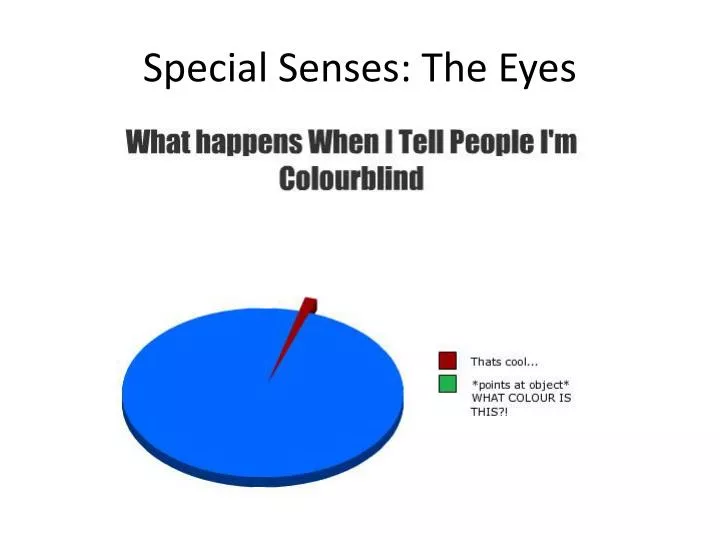 special senses the eyes
