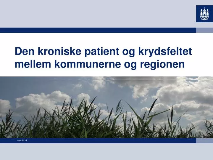 den kroniske patient og krydsfeltet mellem kommunerne og regionen