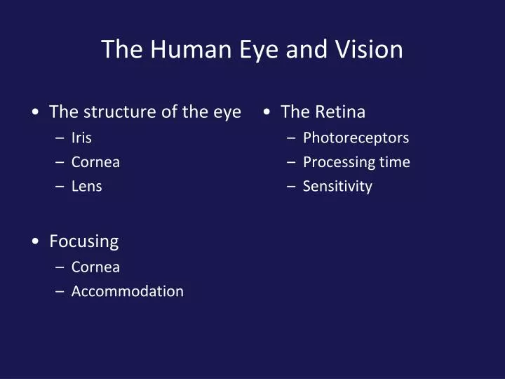 the human eye and vision