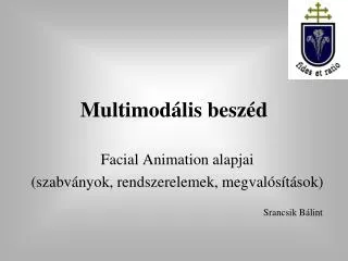 multimod lis besz d