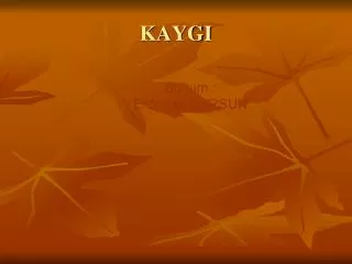 kaygi