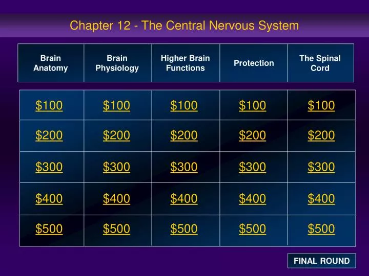 chapter 12 the central nervous system