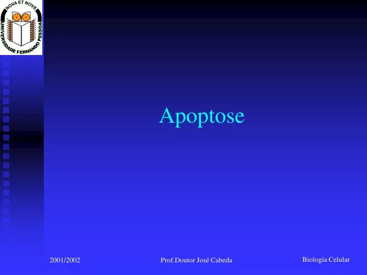 apoptose