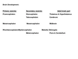 Brain Development: Primary vesicles Secondary vesicles Adult brain part