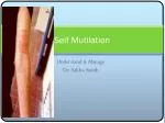 Understanding and Managing Self-Mutilation: A Case Study of Dr. Ashlea Smith - slide 1