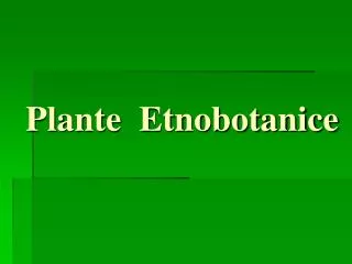 plante etnobotanice