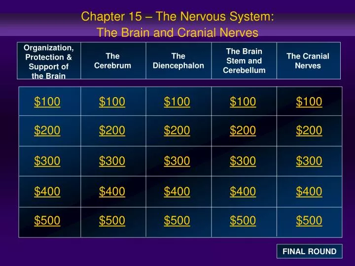 chapter 15 the nervous system the brain and cranial nerves