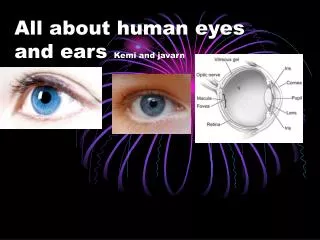 All about human eyes and ears Kemi and javarn